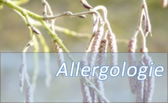 Leistungen in der Allergologie